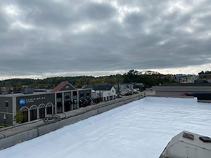 Roof Restoration - Alexandria, MN 2