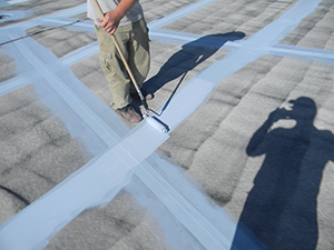 Commercial Roof Coating – Alexandria, MN 1